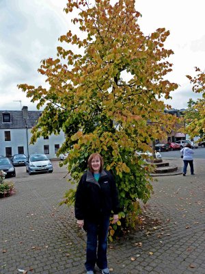 Autumn on August 24th in Beauly, Scotland