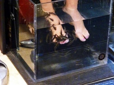 Fish Pedicure