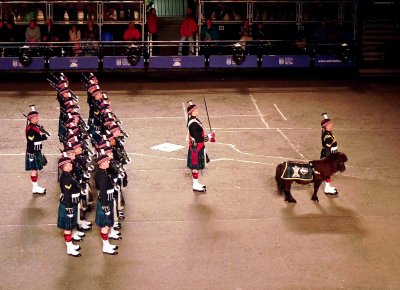 Presentation of the Regimental Mascot