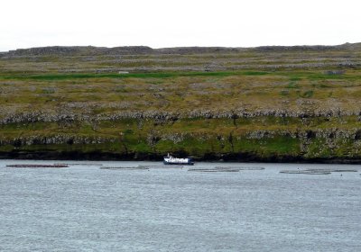 Salmon Farming in the Faroe Islands