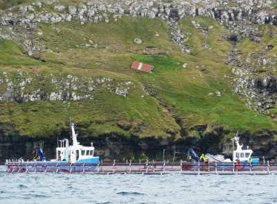 Salmon Farming in the Faroe Islands