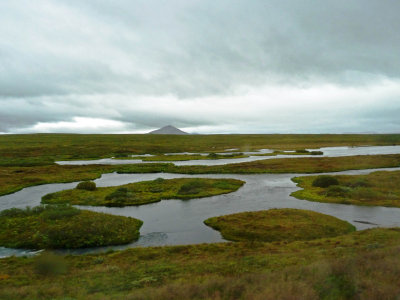 Wetlands of Northern Iceland