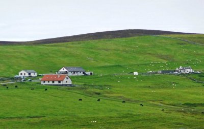 Farming on the Sheland Islands, Scotland