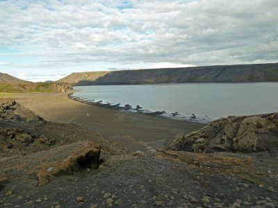 Lake Kleifarvatn, Iceland, is Draining at a rate of 1/3 per day Into a Fissure Created by an Earthquake