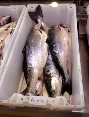 Greenland Salmon in Meat & Fish Market
