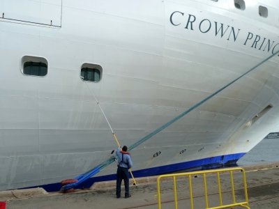 Cleaning the Crown Princess