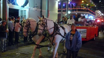 Molly's Halloween Parade