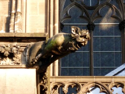 Cologne Cathedral Gargoyle