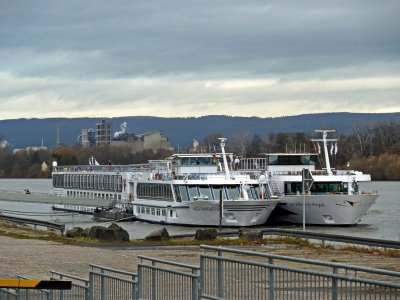 Boats Moored Side-by-Side on the Rhine River in Mainz