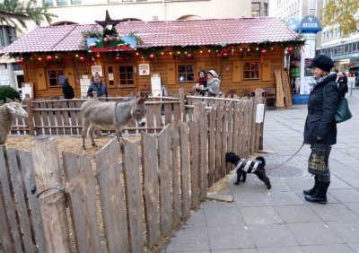 Dog Scaring Donkey at Stuttgart Christmas Market