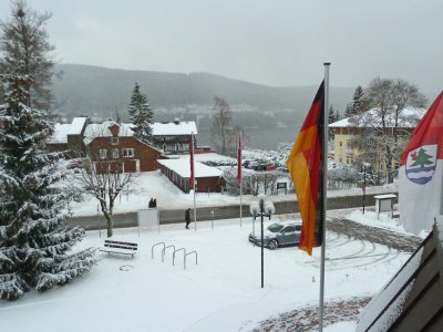 Looking Out On Titisee (Lake Titi)