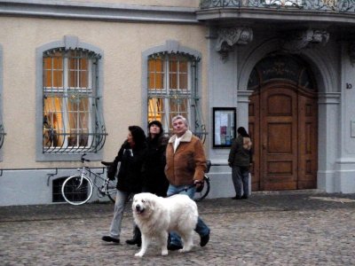 Walking the Dog in Munsterplatz, Freiburg