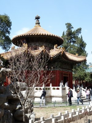 Signs of Spring in the Imperial Garden 