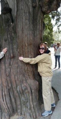 Susan Hugging the Nine Dragon Cypress