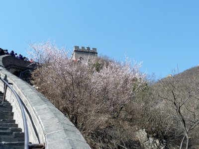 Springtime at the Great Wall of China