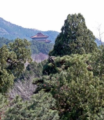 Another of the Ming Tombs in the Distance