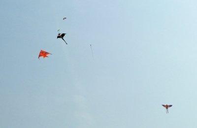 Flying Kites on a Beautiful Day in Xi'an, China