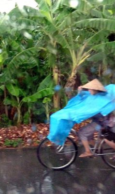  Bicycling in the Rain in Vietnam