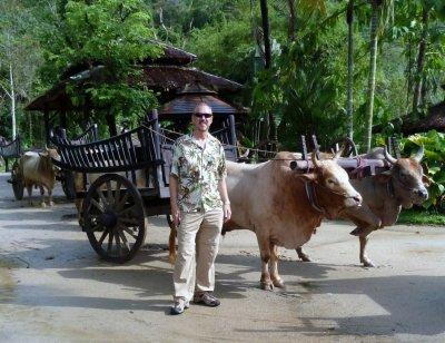 Ox Cart at Elephant Camp