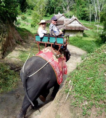 Brian & Sherri on the Elephant Trail