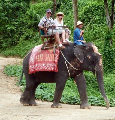 Brian & Sherri on Elephant