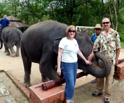 Elephant Camp, Phuket Thailand