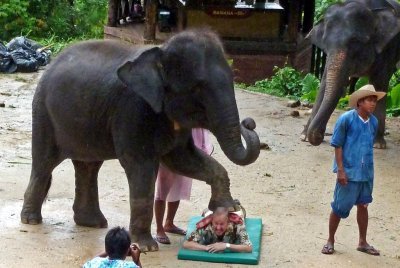 Bill Receiving Elephant Massage