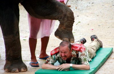 Bill's Elephant Massage