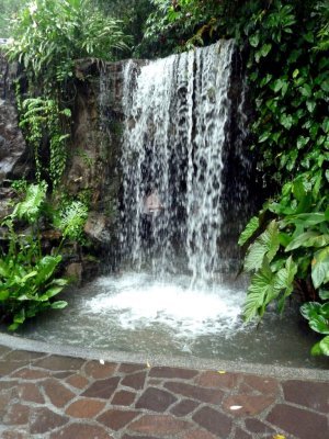 Waterfall at the National Orchid Garden, Singapore