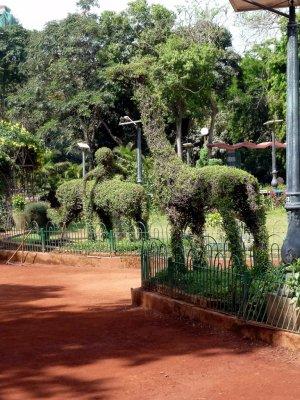 Pherozeshah Mehta Gardens are also known as Hanging Gardens of Bombay
