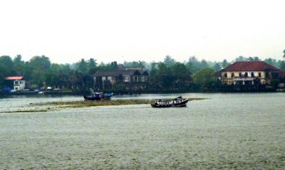 Boats & Water Hyacinths near Cochin, India