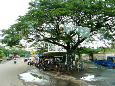 Cochin (Kochi), India