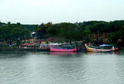 Brighly Colored Boats on Cochin's Inland Waterway