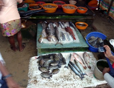 The Fish Market in Cochin, India