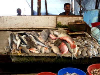 The Fish Market in Cochin, India