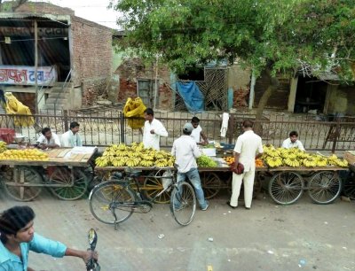 Fruit for Sale in Agra, India