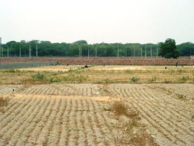 Farming in India