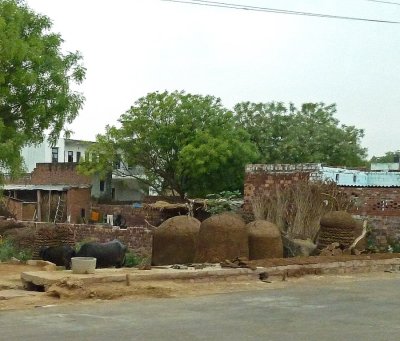 Dried Dung Cakes in Rural India
