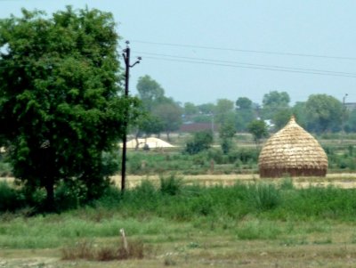 Closed Grain Storage Container in India