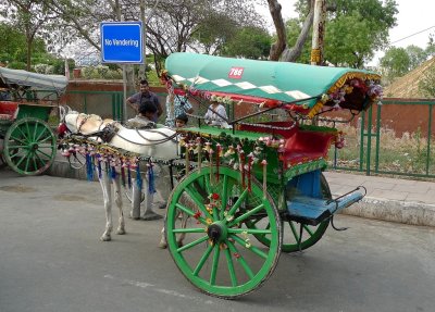 Horse Cart in Agra, India