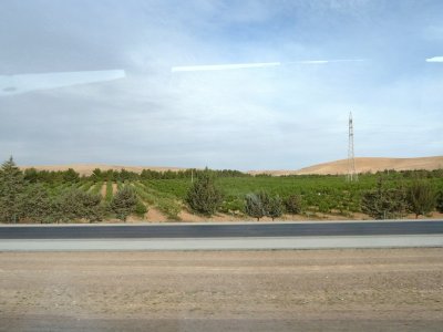 Irrigated Farm in the Jordan Desert