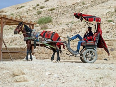 A Carriage Waiting for Tourists at Petra, Jordan