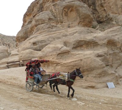 One of Nine Carriages at Petra for 3,000 Visitors per Day
