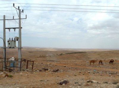 Driving Through the Jordanian Countryside