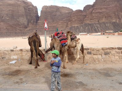 Jordanian Boy & Camels in Wadi Rum
