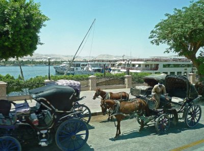 Carriages Along the Nile River in Luxor
