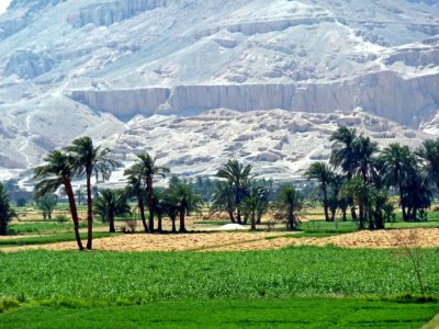 Farm on the West Bank of the Nile with Ancient Burial Mounds in the Background