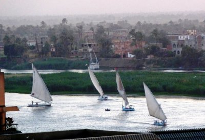 Watching Feluccas on the Nile River from Our Hotel Balcony