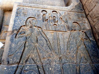Sunken Relief Scenes at the Luxor Temple