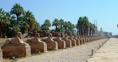 The Avenue was 1.5 Miles Long with 2,000 Sphinxes, and Connected Luxor Temple with Karnak Temple